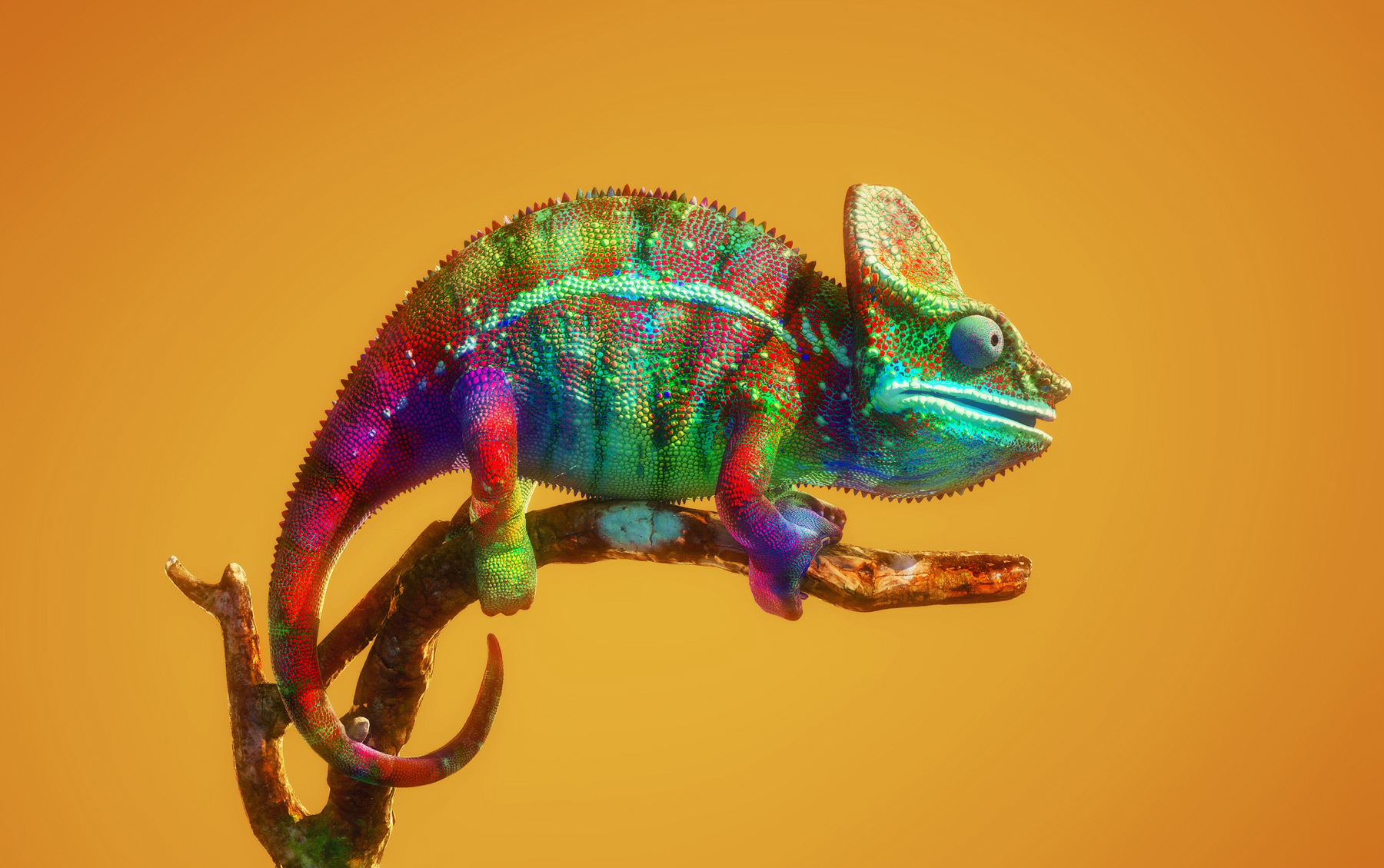 salette_1685197726-1800